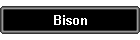 Bison