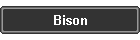 Bison