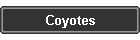 Coyotes