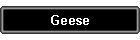 Geese