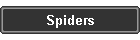 Spiders