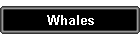 Whales