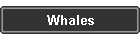 Whales